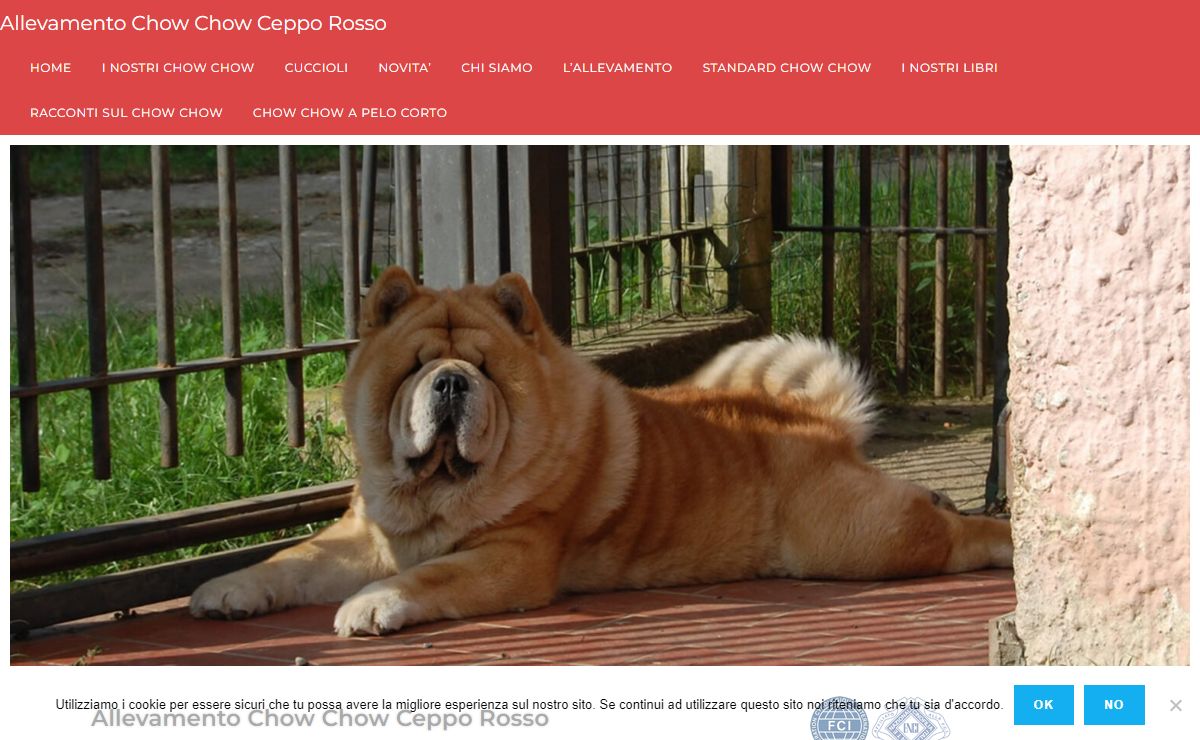 Allevamento Chow Chow Ceppo Rosso - Allevamento Chow Chow riconosciuto ENCI/FCI per la selezione del Chow Chow a pelo lungo e a pelo corto