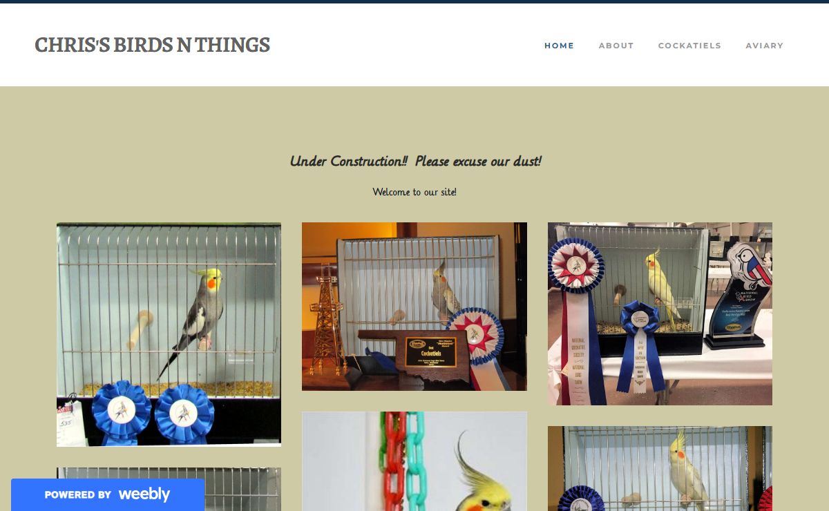 CHRIS'S BIRDS N THINGS - Home