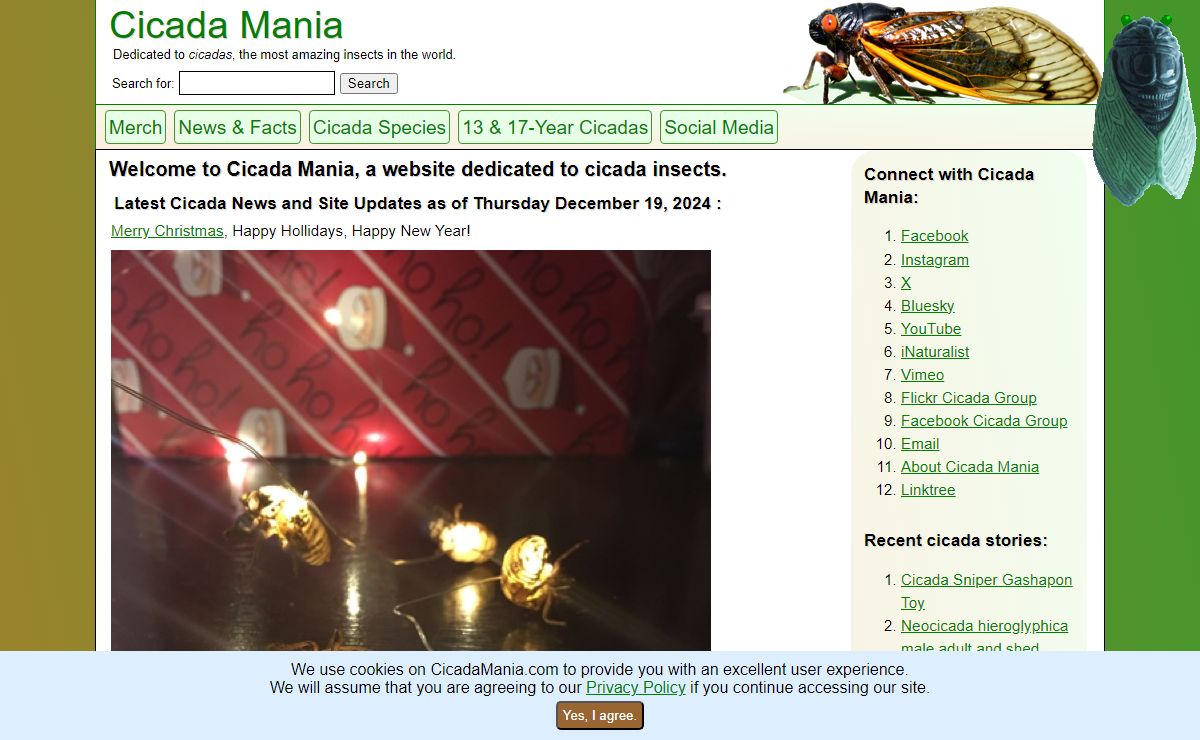 Cicada Mania: Cicada Photos, Sounds, News & Facts