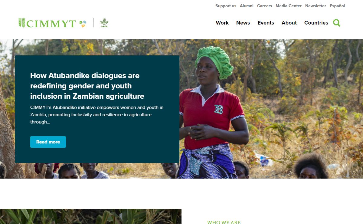 CIMMYT