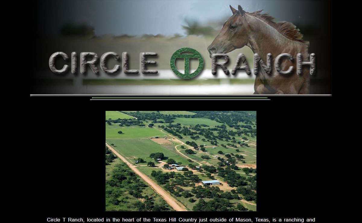 Circle T Ranch Cutting Quarter Horses sale Peptoboonsmal Doc O'Lena Mason Texas