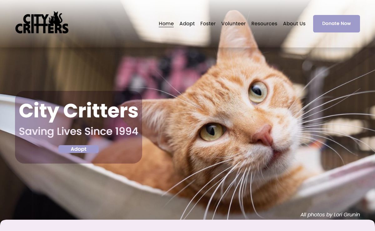 City Critters