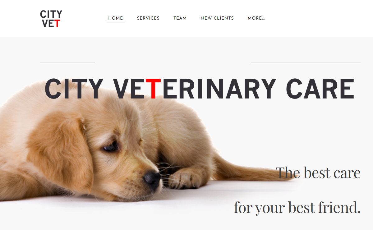 City Veterinary Care - Home