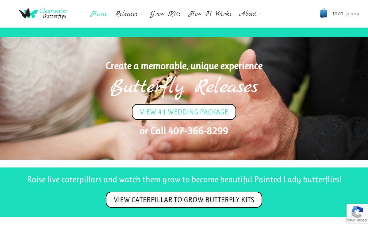 Beautiful Butterfly Releases for Weddings - Clearwater Butterfly