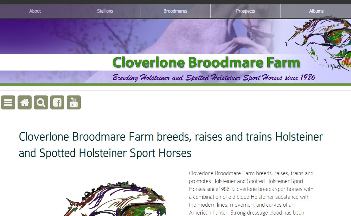 Cloverlone Broodmare Farm breeds, raises and trains Holsteiner and Spotted Holsteiner Sport Horses