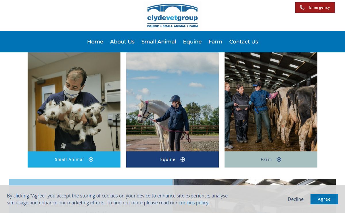 Clyde Vet Group | Mixed-Animal Care in Lanarkshire & Stirling