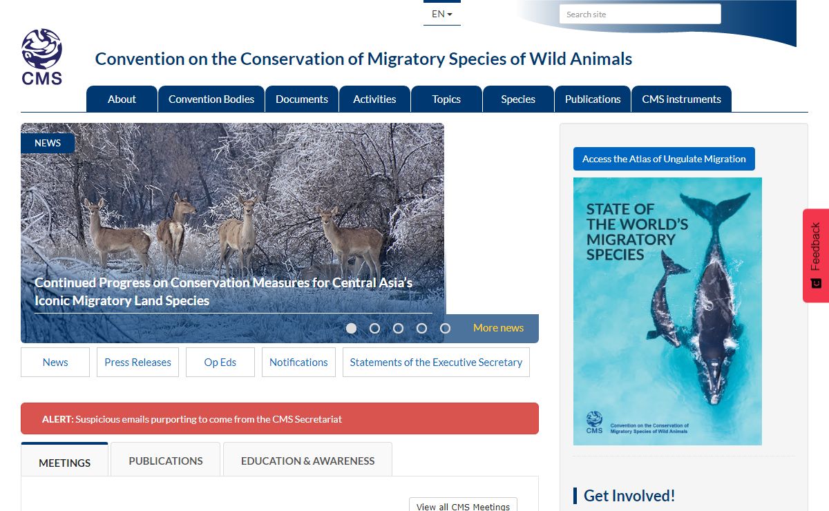 CMS | Convention on the Conservation of Migratory Species of Wild Animals