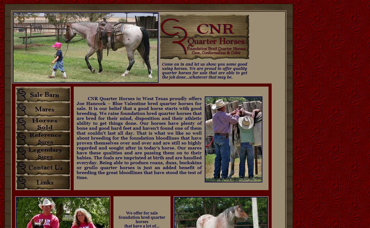 Joe Hancock ~ Blue Valentine ~ Driftwood bred blue roans, blacks, buckskins, grullos and red roan quarter horses for sale in Texas