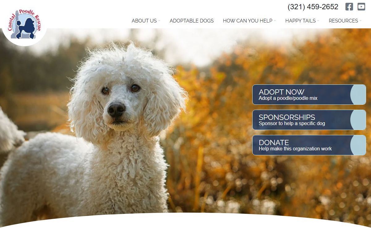 Coastal Poodle Rescue
