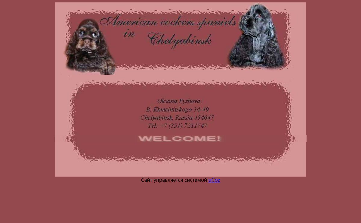 Американские кокер спаниели в Челябинске