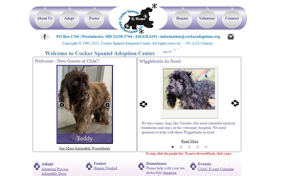 Cocker Spanel Adoption Center