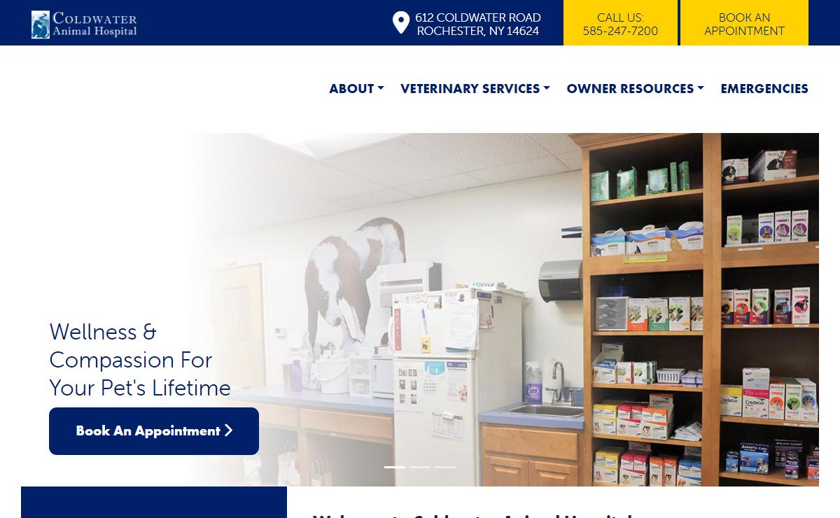 Trusted Veterinarians in Rochester, NY | Coldwater Animal Hospital