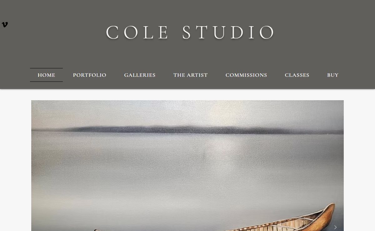 Artist | Cole Studio/ painter/ Contemporary art/Canada