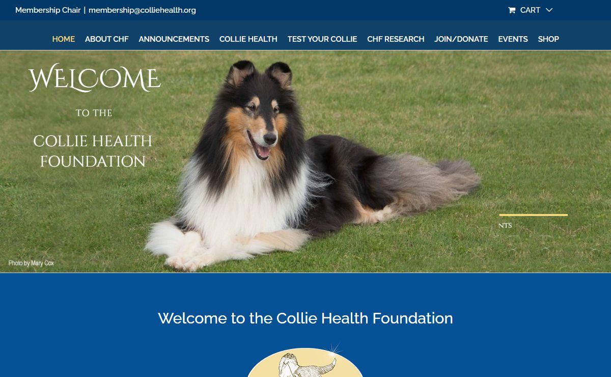 Collie Health Foundation – Collie Health Foundation