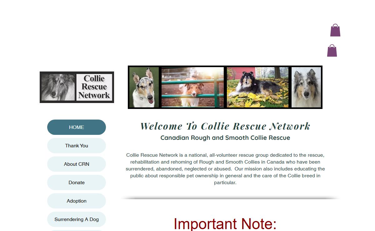 HOME | Collie Rescue Networ