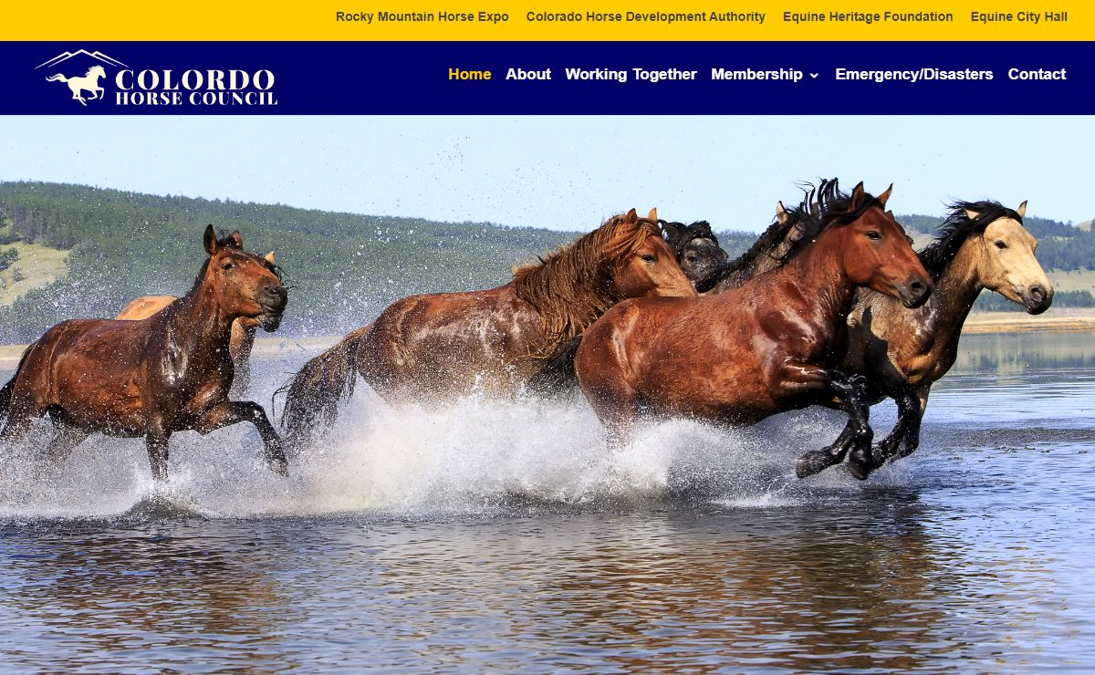 Colorado Horse Council, Inc. | Working to bring the horse community together