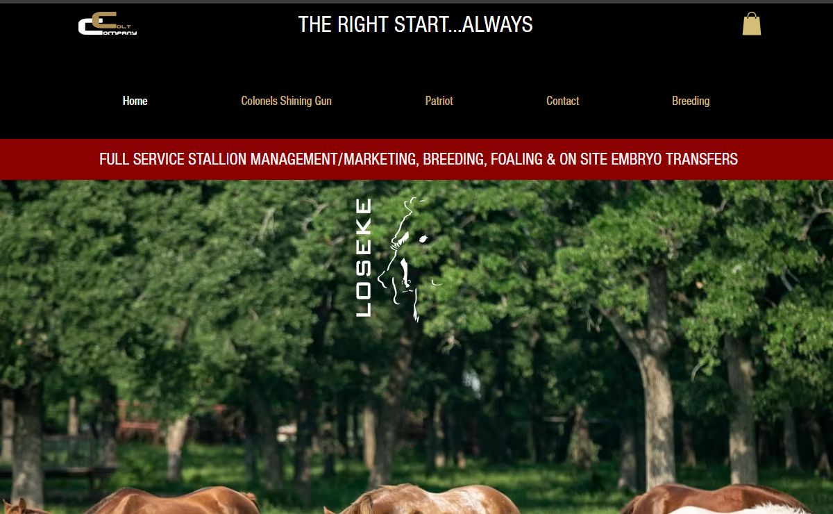 Home | Colt Company