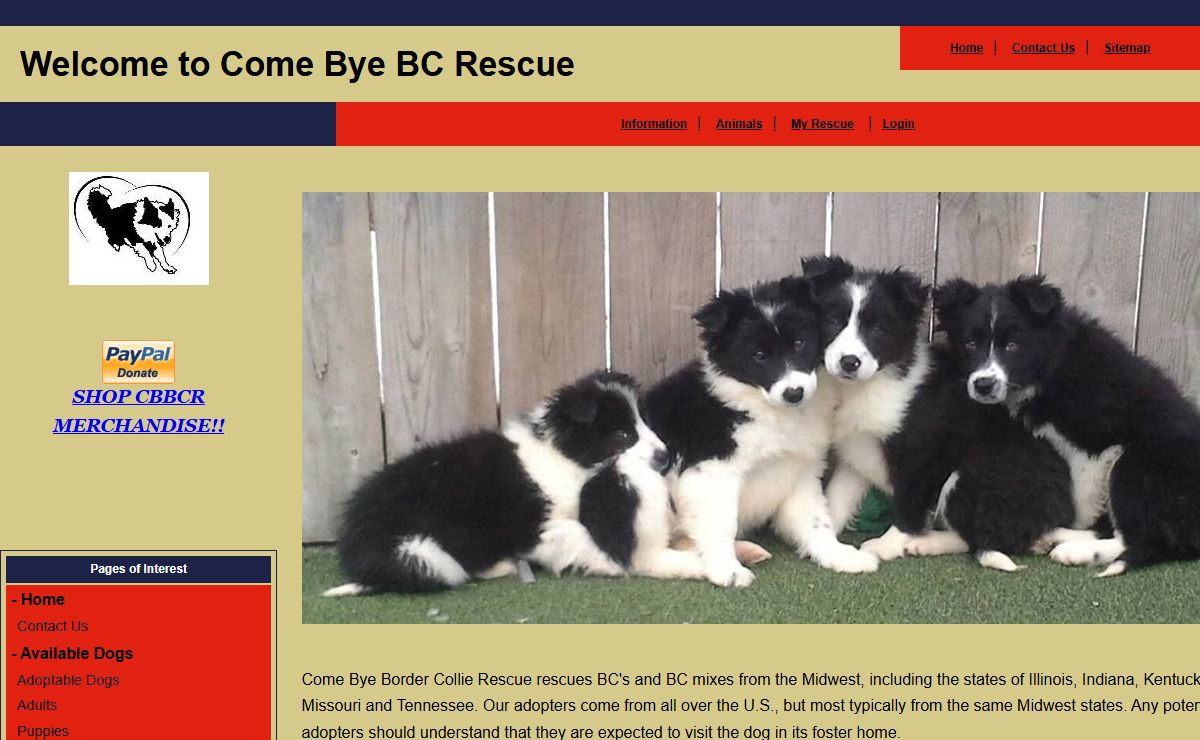 Come Bye Border Collie Rescue