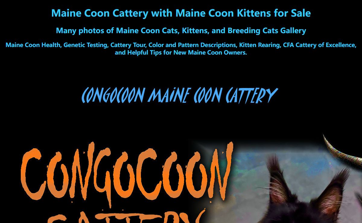 Maine Coon Cats=Congocoon