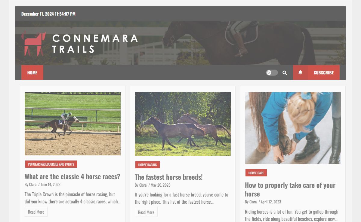 Connemara Trails – Horseback riding trail though Irish landscape