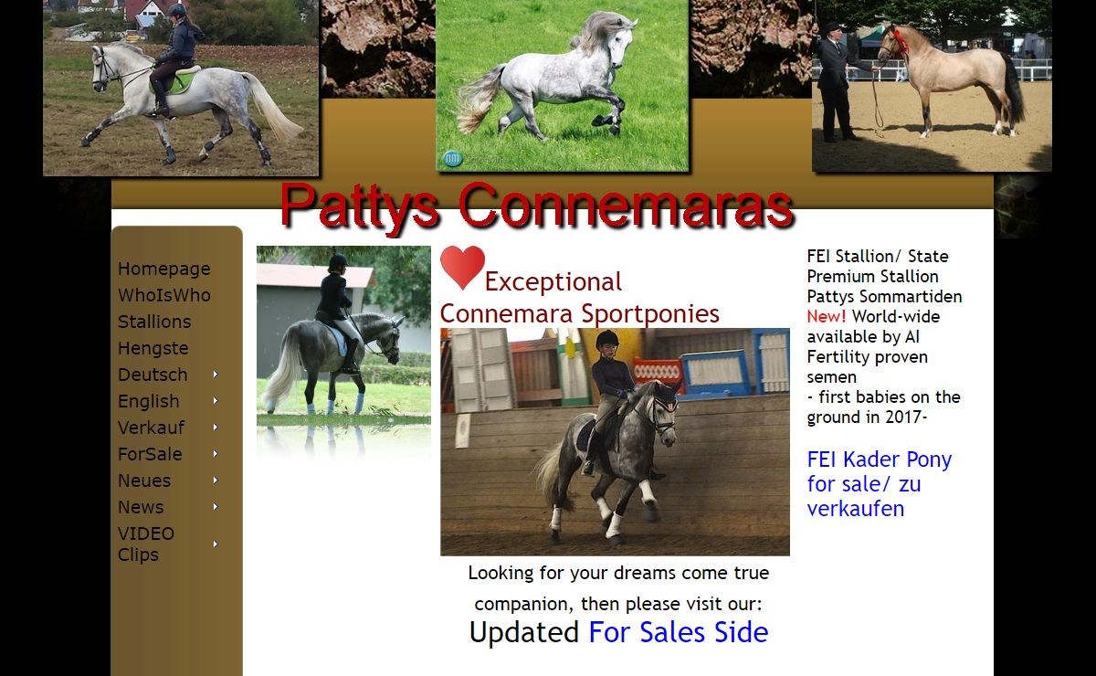 Pattys Connemaras
