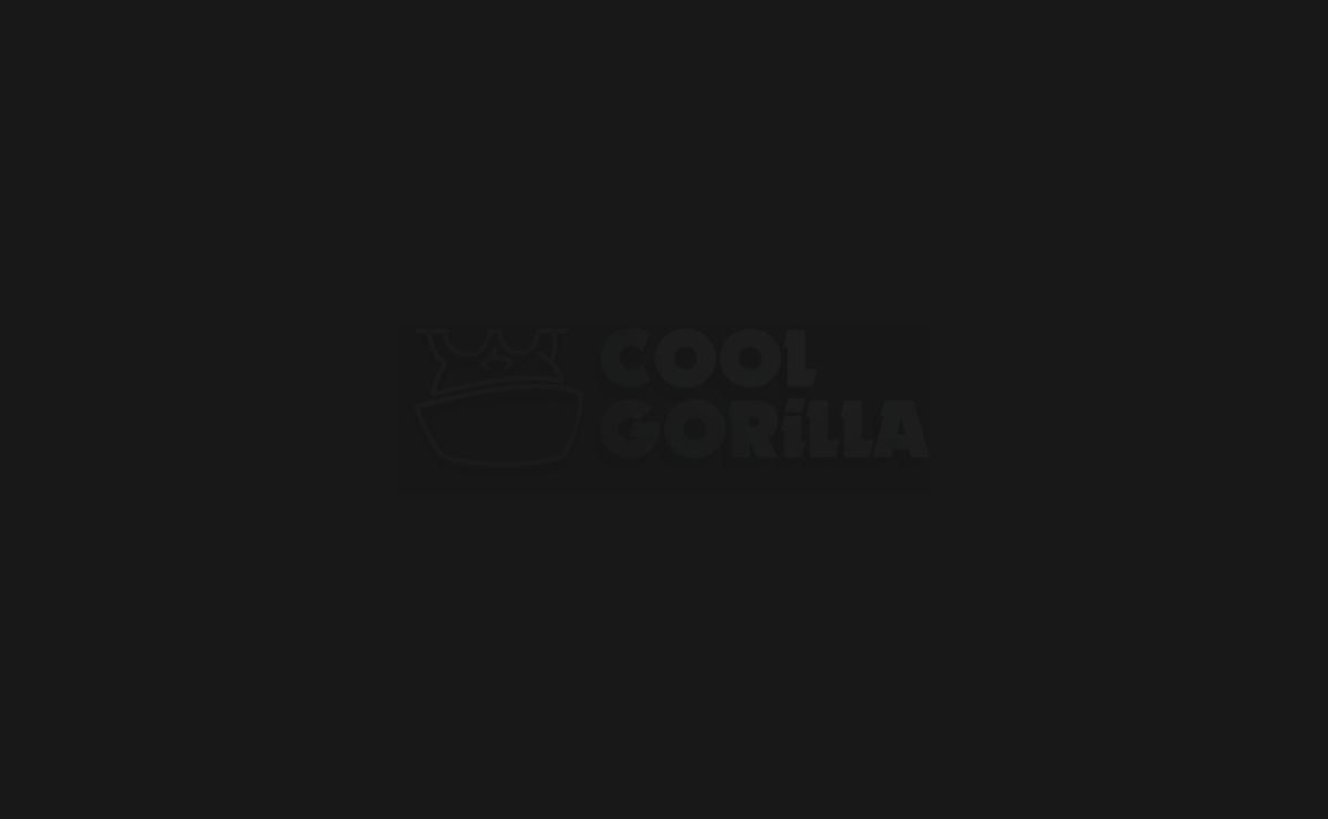 Home - Coolgorilla
