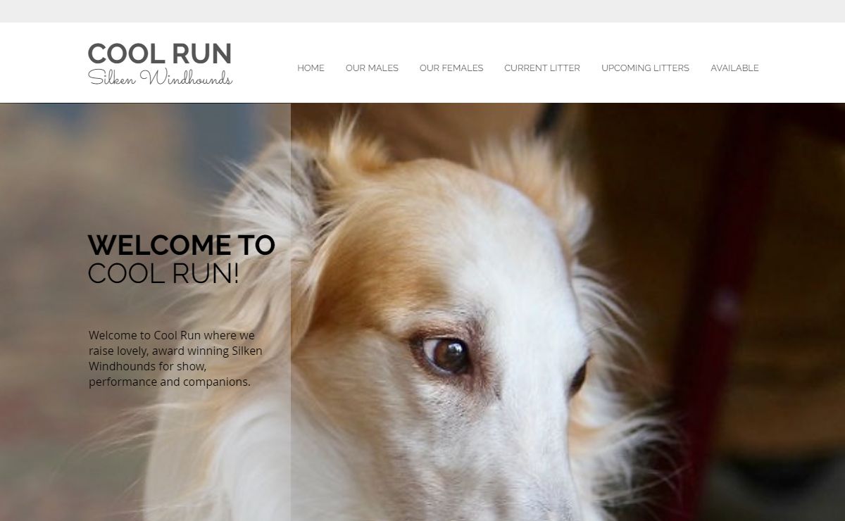HOME | mysite