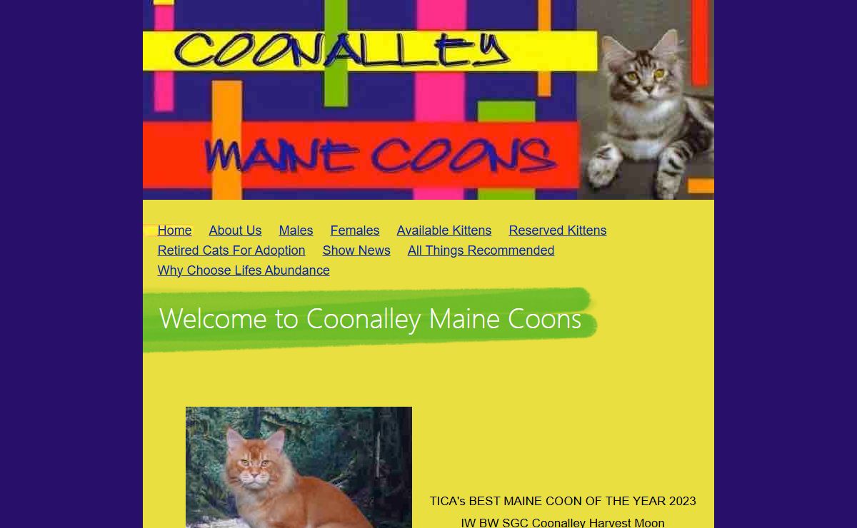Coonalley Maine Coon Cats