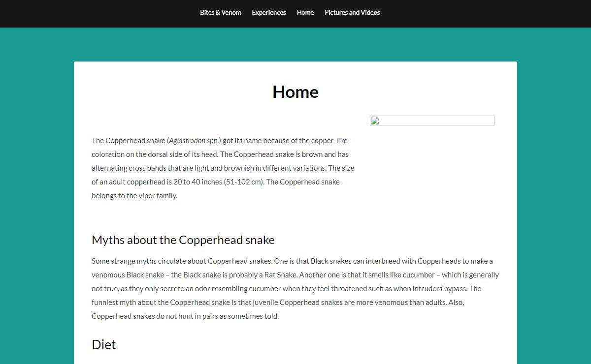 copperheadsnake – Reproduction, diet, mating, shedding skin & life-cycle