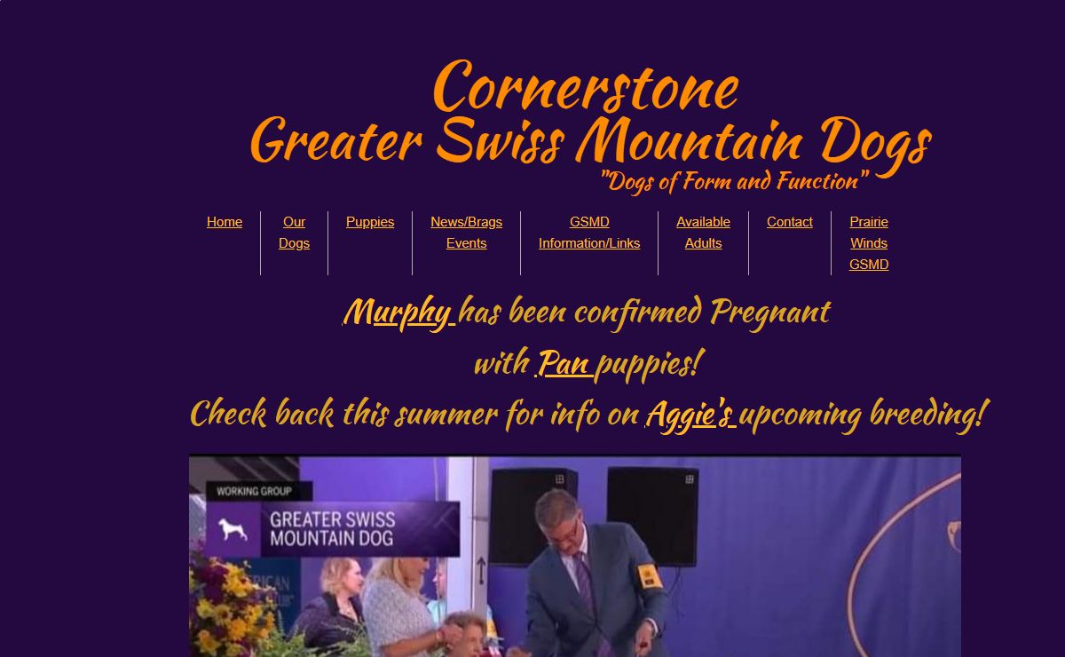 Greater Swiss Mountain Dogs Breeder - Cornerstone Greater Swiss Mountain Dogs