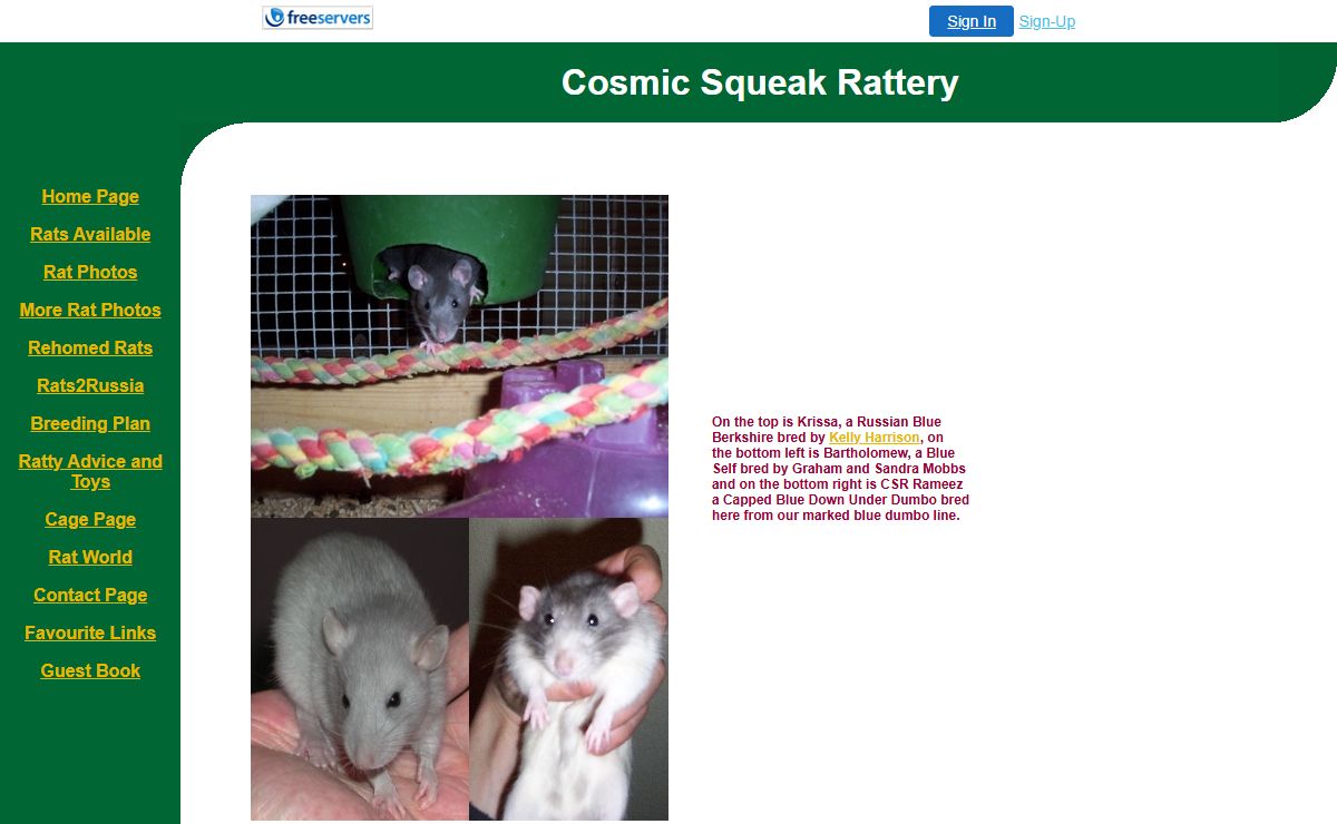 Home Page