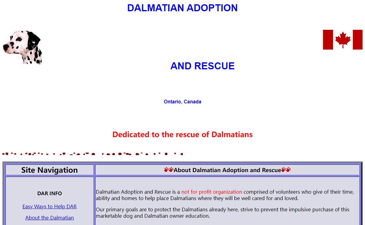 Dalmatian Adoption and Rescue - Ontario, Canada