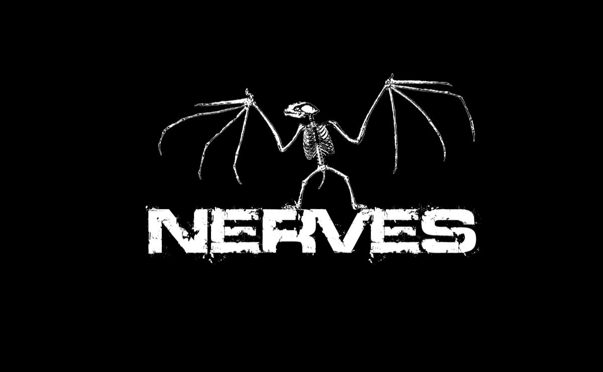 THE NERVES - the official internet punkrock online service