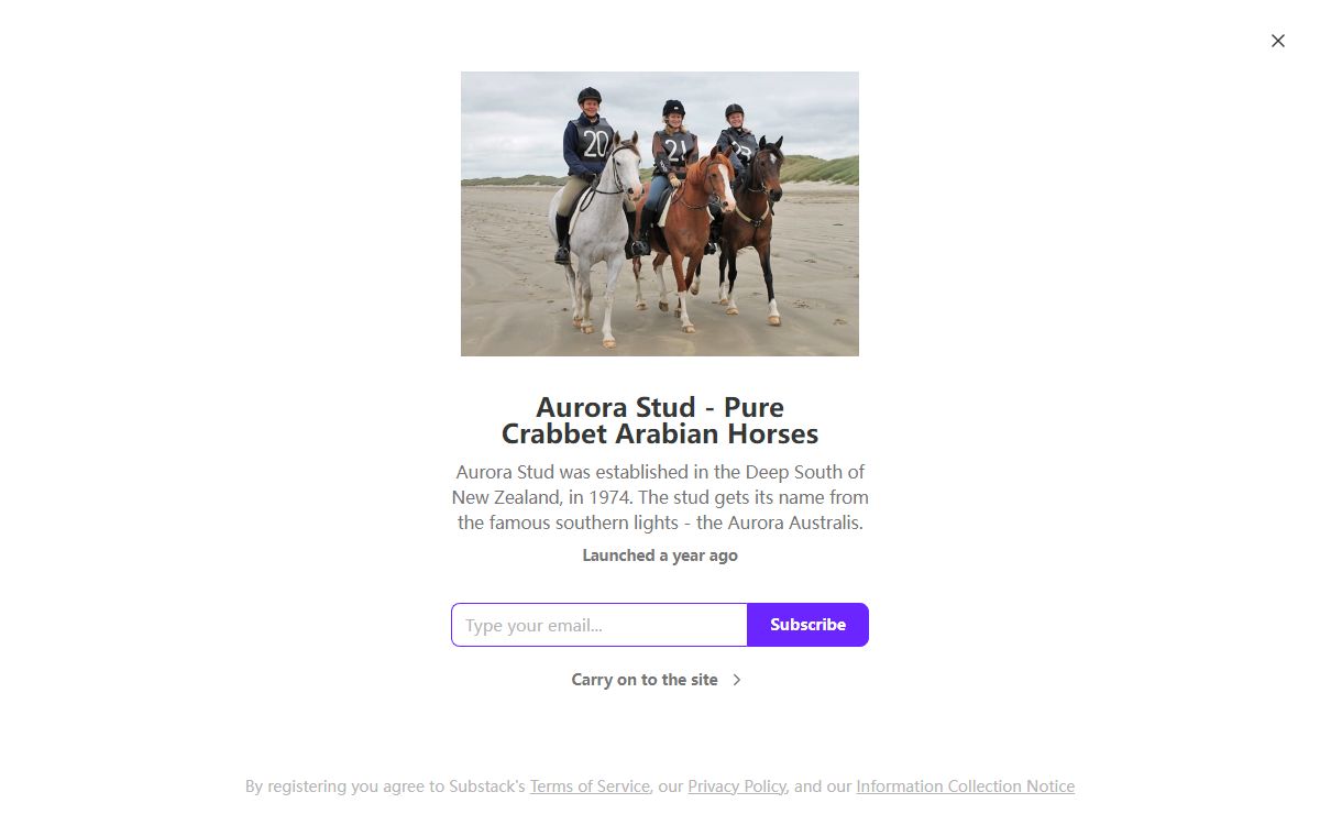 Aurora Stud - Pure Crabbet Arabian Horses | Substack