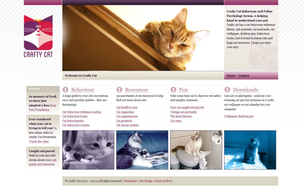Crafty Cat - the complete resource for cat behaviour and understanding cats