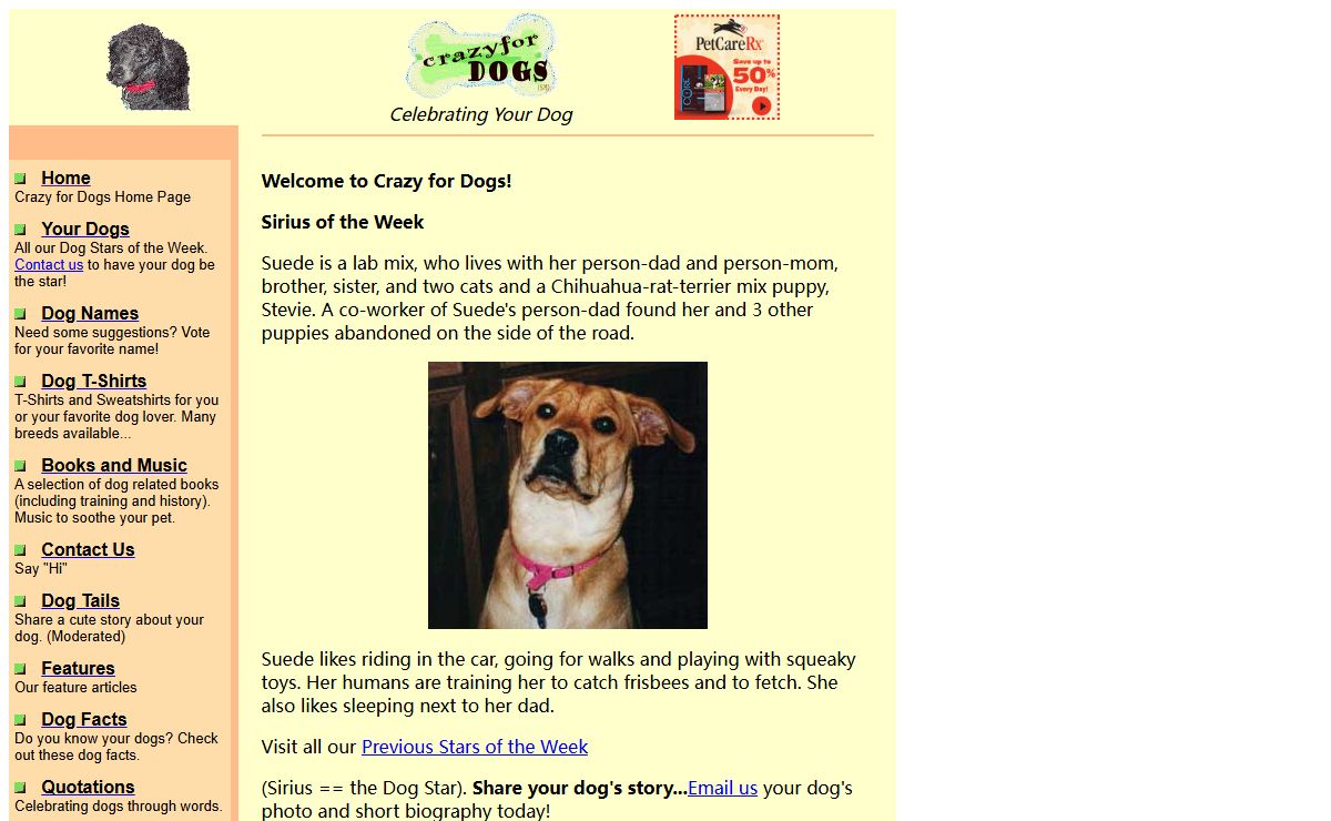 Crazy for Dogs -- Celebrate Your Dog!