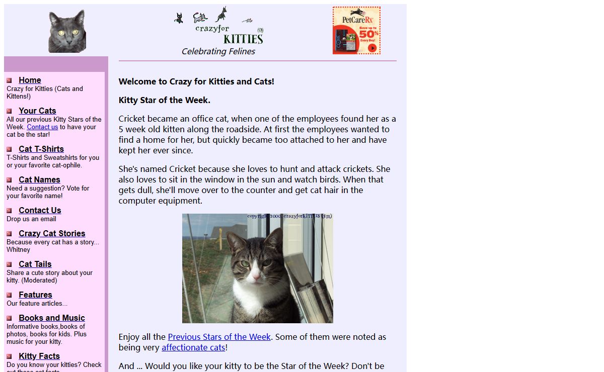 Crazy for Kitties and Cats -- Celebrate Your Cat!