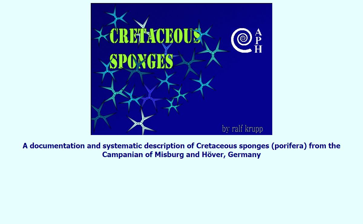 Cretaceous Sponges