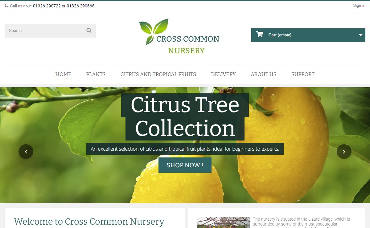 Cross Common Nursery