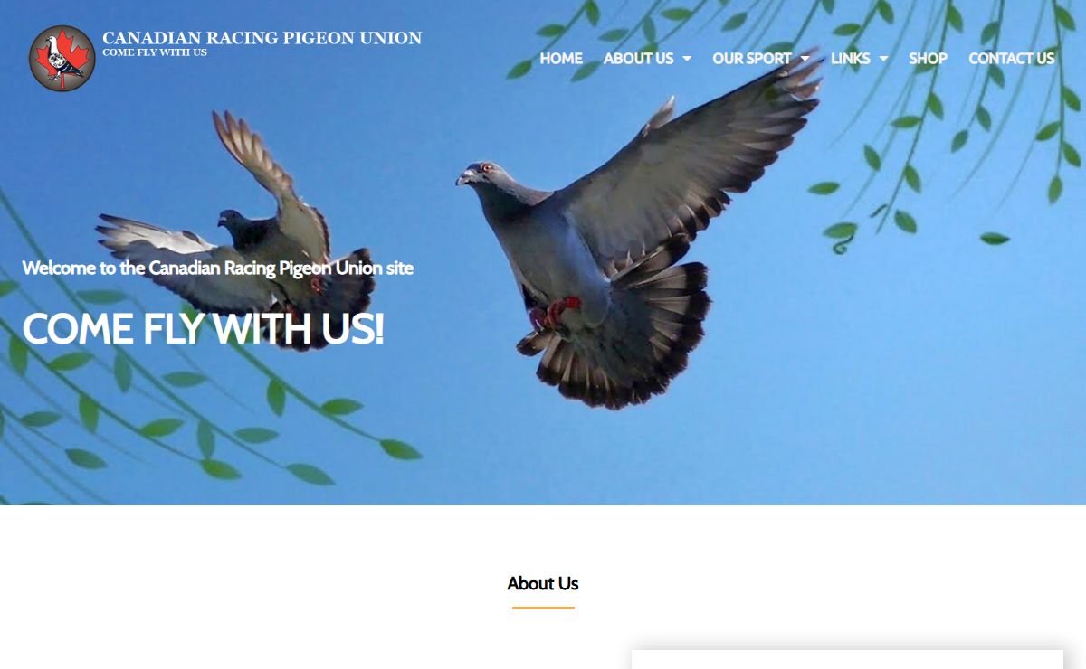 Canadian Racing Pigeon Union – Come Fly With Us