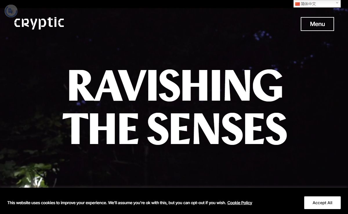 Cryptic - Ravishing the senses