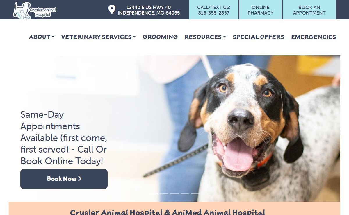 Trusted Veterinarians in Independence, MO | Crysler Animal Hospital