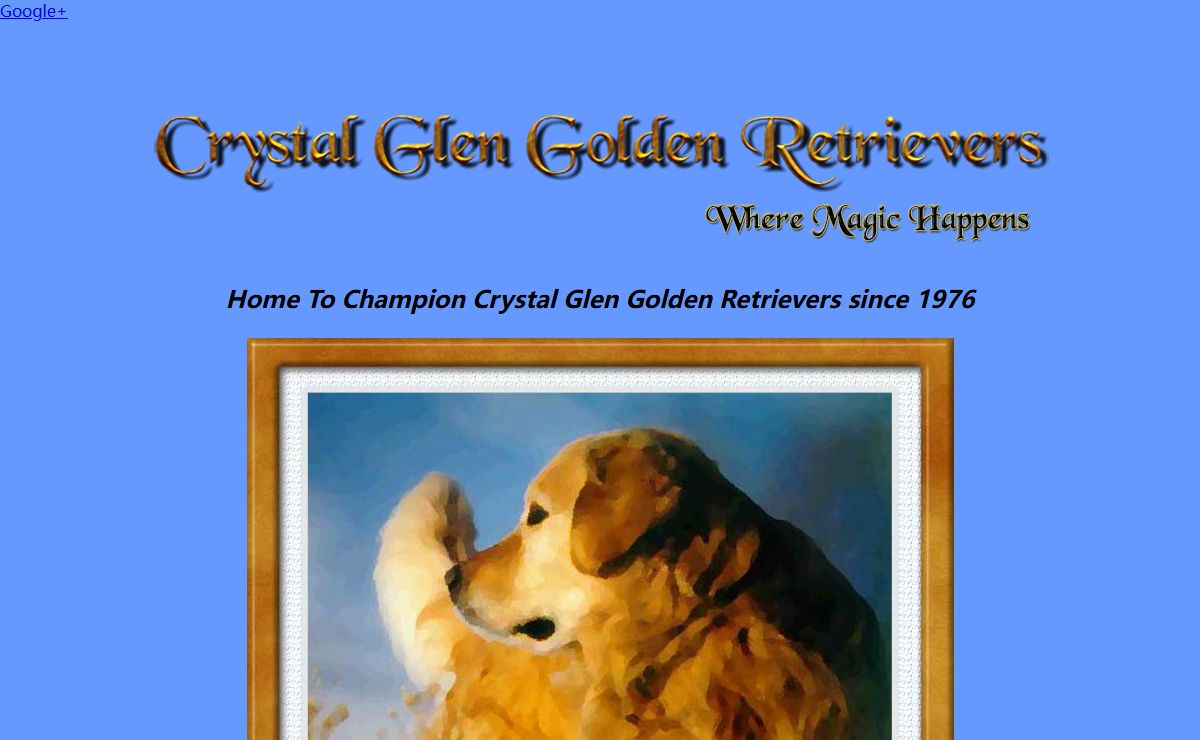 Crystal Glen Golden Retrievers