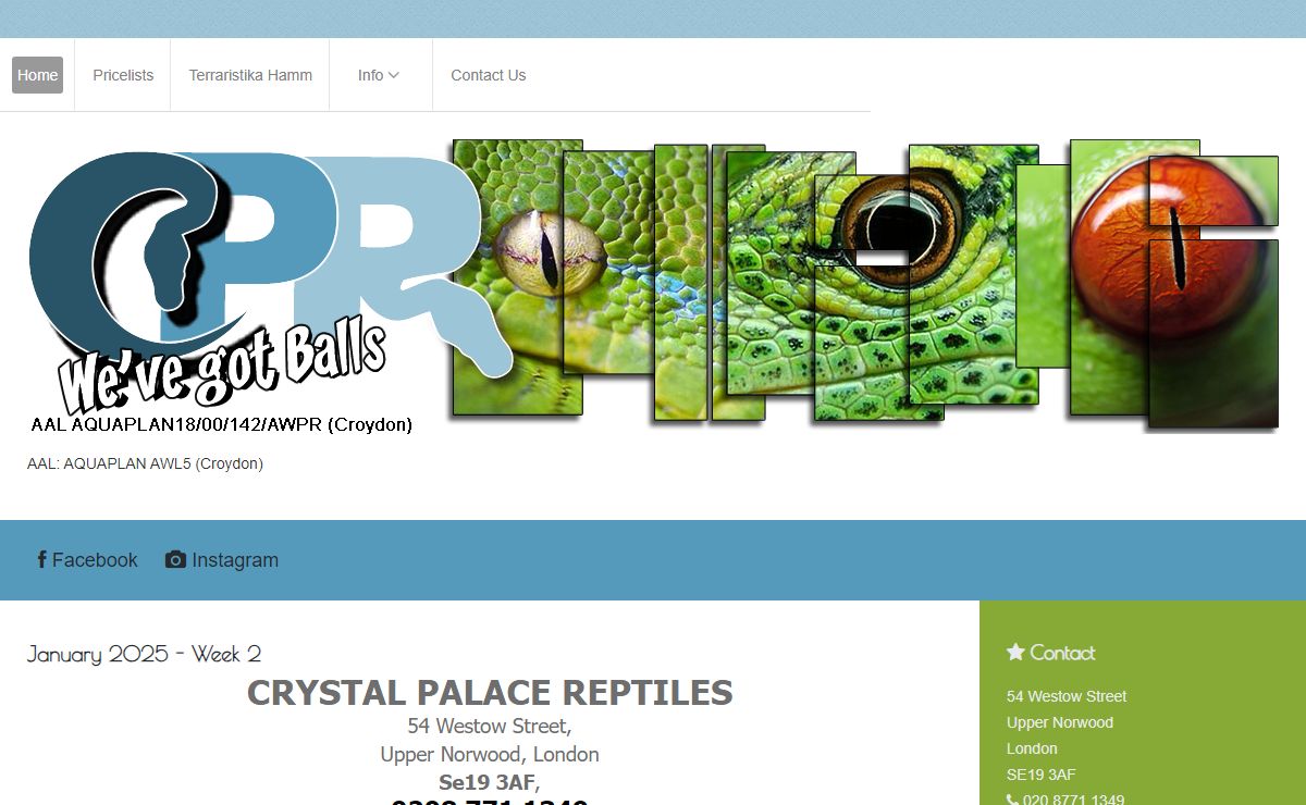 Reptile Shop, London, UK - Crystal Palace Reptiles