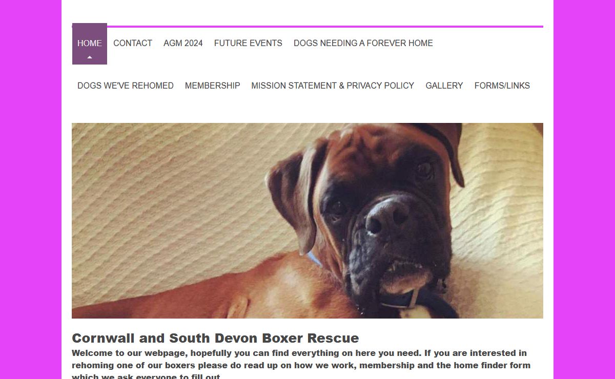 Cornwall & South Devon Boxer Rescue - HOME