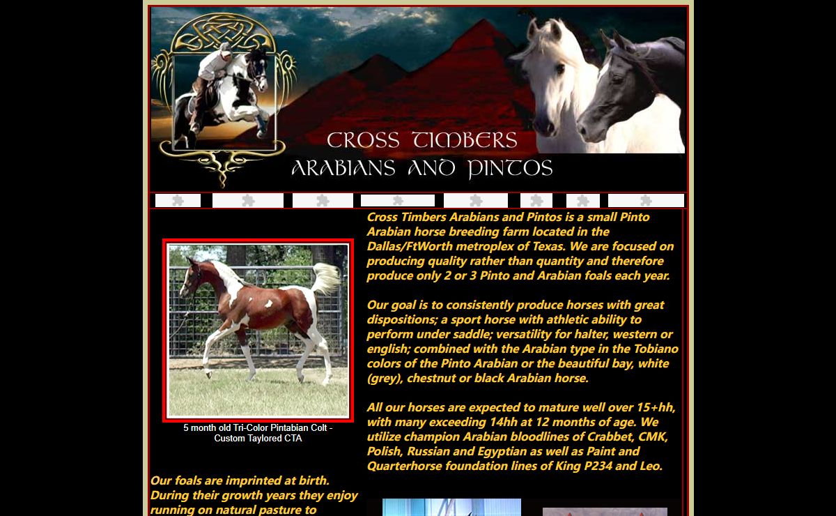 Cross Timbers Arabians and Pintos- Pinto Arabian, Half-Arabian, Paint Arabian Horses ,For Sale, Stallions, Texas,USA