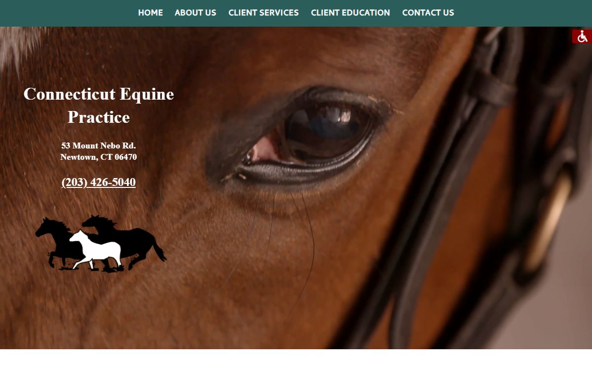 Connecticut Equine Practice