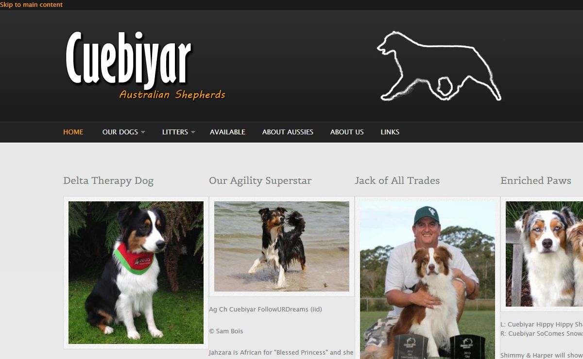 Cuebiyar Australian Shepherds