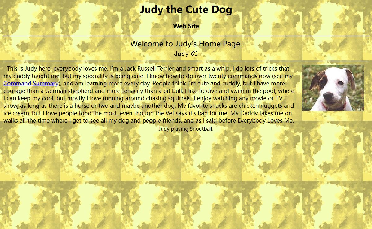 Judy the Cute Dog Home Page, Cute Dog Central, Cute Dog Cam