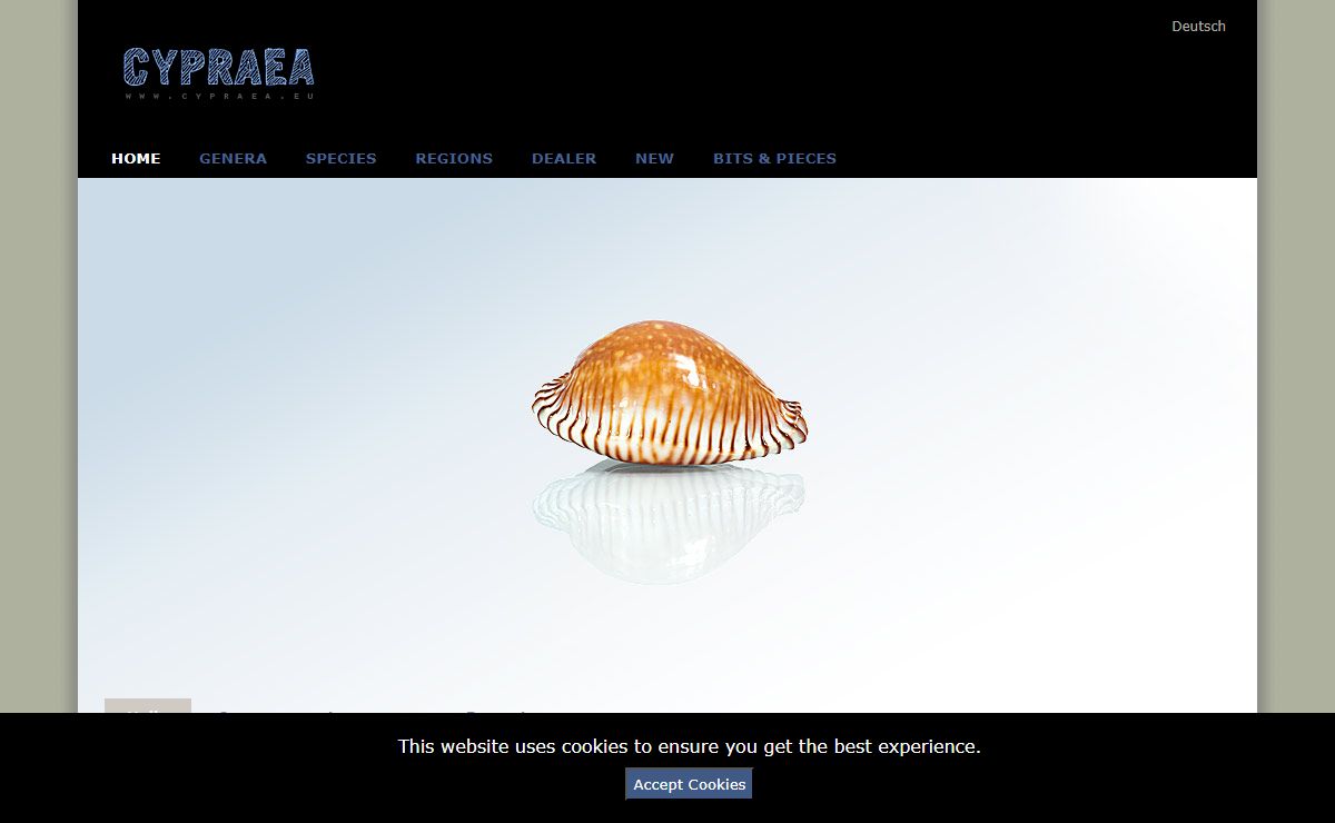 Cypraea.eu - Cowries worldwide